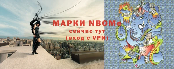хмурый Богородск