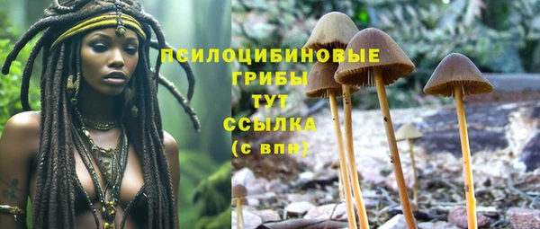 стафф Белокуриха