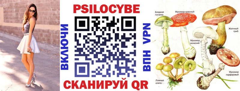 Псилоцибиновые грибы Psilocybe  mega ССЫЛКА  Светлогорск 